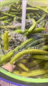28K views · 889 reactions | Italian Stewed String Beans Full...