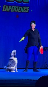 Awesome show!!!! #dollywood2025 #dollywood #dollywoodthemepark #40thseason #themepark #mostbeautifulthemepark #pigeonforgetn #pigeonforge #tennessee #tn #smokymountains #smokymountainnationalpark #tennesseefamilyfun #doglover #dogs #rescuedogsrock #rescuedogs #stuntdogs #stuntdogshow | Adventures That ROCK