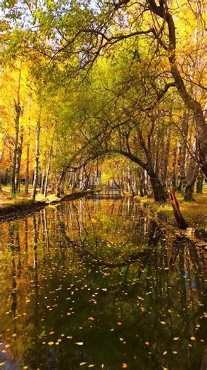 Golden Autumn River 🍂 Peaceful Fall Music for Stress Relief, Calm Nerves & Inner Relaxation