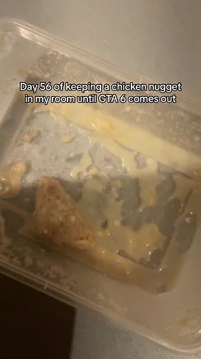 Day 56: Chicken Nugget Experiment for GTA 6