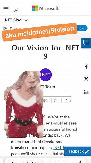 All I want for Valentine’s Day is .NET 9 Preview 1 💕 https://aka.ms/dotnet/9/vision #dotnet #csharp #softwaredeveloper #techtok #softwareengineer #Meme #MemeCut