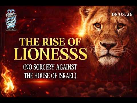 THE RISE OF LIONESSS