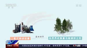 世界地球日 | 意义非凡！三张图看懂中国为减碳付出了什么