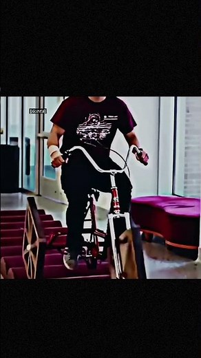 Riding a Bike with SQUARE Wheels?! Physics Makes It Possible! 🚴🔲