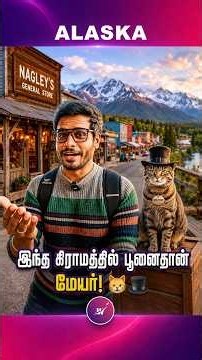 இந்த கிராமத்தில் பூனைதான் மேயர்!😸