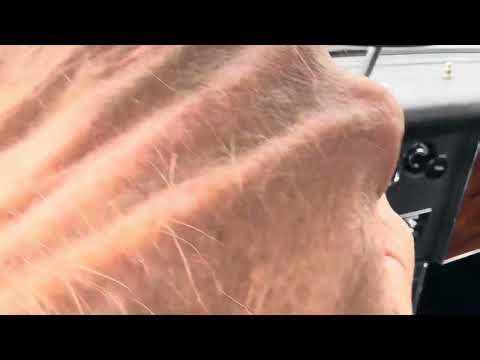 1967 Austin-Healey 3000 BaT Driving Video 2