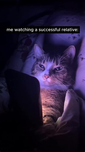 ‏‏what is your favourite animal? 🐶🐱🐰 #mystoryanimated