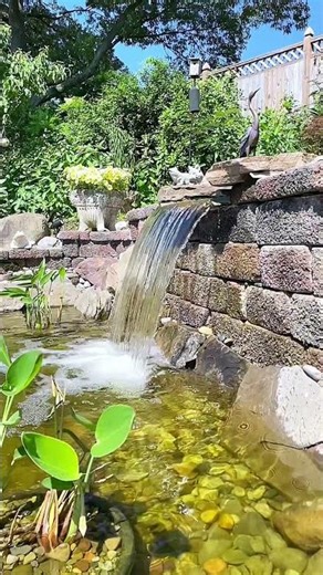 "Before & After" Pond Renovation in Millersville, MD