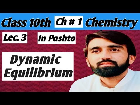 Dynamic Equilibrium | Graphical Presentation| Examples #chemistry #education