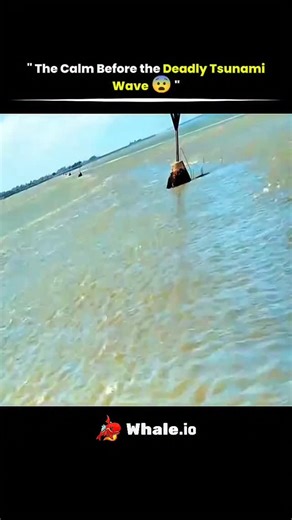 @solved_science | A receding ocean is one of the most critical warning signs of an approaching tsunami. As the wave builds offshore, it pulls water away from... | Instagram