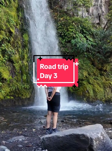 On continue notre road trip 🤭 On a commencé par aller voir les Dawson Falls. Il faut marcher 5min du parking pour les voir. On a voulu marcher plus longtemps donc on a fait le tour de 20min. Pour arriver au Dawson Falls nous avons fait un détour de 1h et honnêtement nous avons trouvé que de faire un si long détour ne valait absolument pas le coup. ☺️ Ensuite, on est allé au Manganui George Track. C'est une mini rando de 20min, c'est pas fatiguant mais c'est une petite montée. Ça reste simple ma