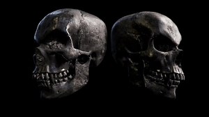 Rotating Animated Skull Set Stock Footage Video (100% Royalty-free) 1051921744 | Shutterstock