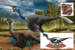 Incredible dinosaur nest reveals raptor sitting on her eggs