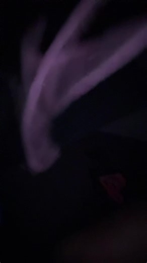 I am wearing my @Cheek Boss colorful prints in the dark. I love this brand, and the Instagram promotion that led me to there world. Dissing summer 25 to the ass crack! Lol. Laughing out loud as I sing and dance in this awesome guys studio. I love music! #musica #cheekboss