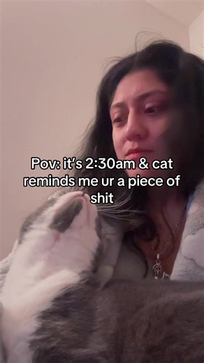 Struggles of Insomnia and Cat Humor Late at Night