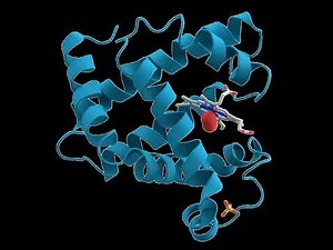 Comparative biochemistry | Wikipedia audio article