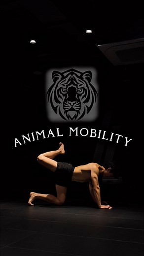 6.4K views · 32K reactions | Comment “BEGIN” and I’ll send you my...