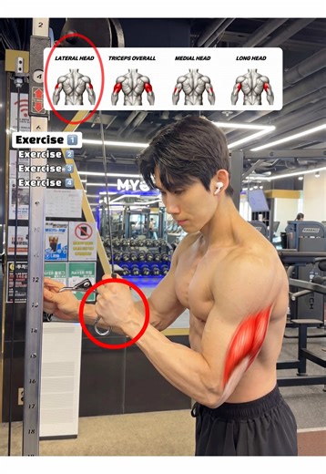 여행 중 케이블 원암 삼두 루틴 4가지 (팔운동)