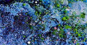 Video by StefWithAnF on Pexels