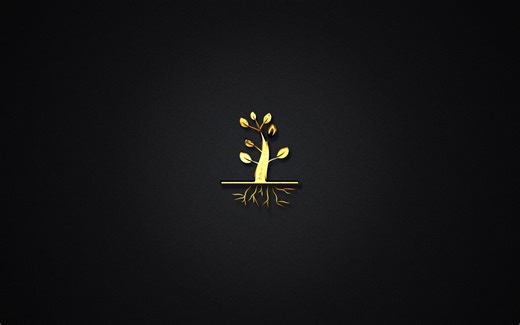 Android 录音可视化 --录制音乐 Somero