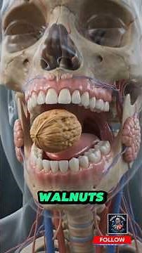 What really happens inside your body after you eat walnuts? #shorts #walnut #anatomy