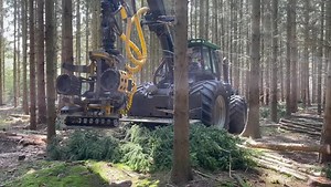 Der Forstbetrieb Lossin aus 19348 Berge, setzt seinen KOTSCHENREUTHER Forstschlepper K260R mit einen Kesla Harvesterkopf RH 25 schnell und flexibel in der Käferholzaufarbeitung ein. Euer KOTSCHENREUTHER Team | Kotschenreuther Forst-& Landtechnik