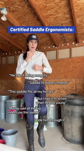 CSEs: Horse Guardians #saddlefit #equinewelfare #equestrianjourney #skit #equestrianhumor
