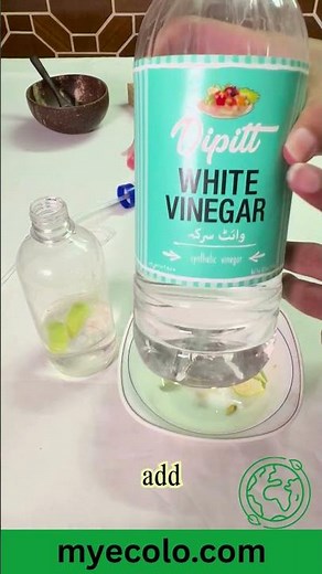 Homemade All-Purpose Cleaner | Easy, Natural & Eco-Friendly DIY Recipe | My Ecolo