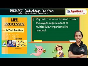 Why is diffusion insufficient to meet the oxygen requirements of multicellular organisms like humans