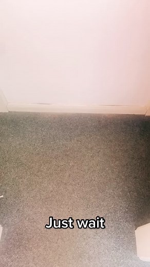 Could bathroom doors get any better?! 90’s & 00’s kids will appreciate! 😅 #goodcharlotte #officeinterior #boysandgirls