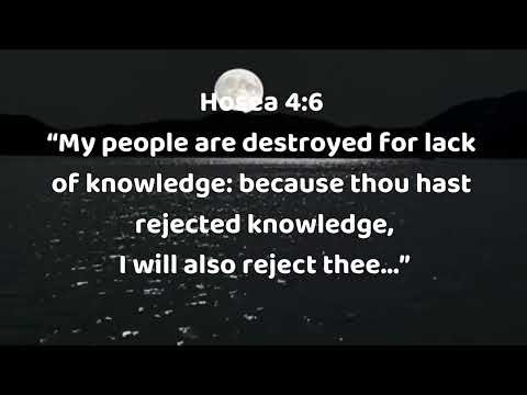 4 Powerful Bible Verses About Knowledge, Wisdom, and Understanding | Christian Motivation