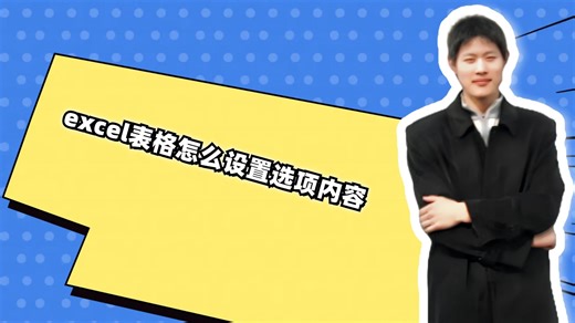 excel表格怎么设置选项内容