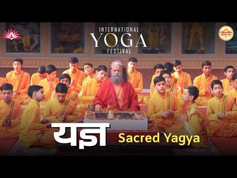 Sacred Yagya LIVE 📍Parmarth Niketan Ashram, Rishikesh - International Yoga Festival || 8 Mar 2026 ||