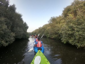 Ajman Mangrove Nature Kayak Tour - Urban Desert Travel & Tours