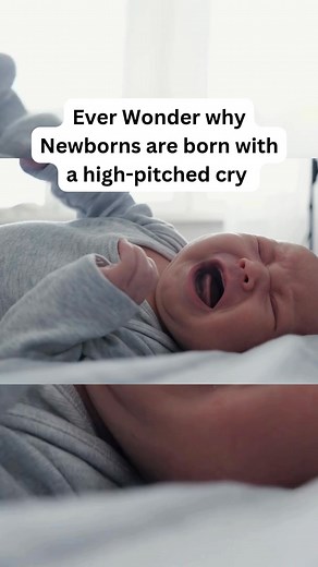 3.7K views · 31 reactions |  Did you know? Newborns have a...