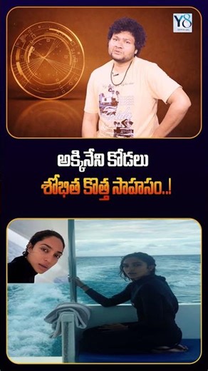 Akkineni's daughter-in-law "Shobitha's new adventure" @Y8official_8 #shobithadhulipala #nagachait...