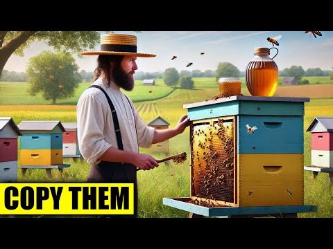 How Amish Farmers Produce MASSIVE Honey Harvests with Just ONE Hive!
