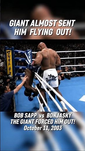 BOB SAPP VS REMY BONJASKY | mma highlights