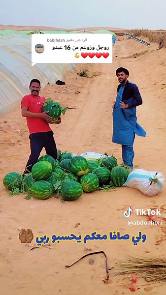 أفضل الشركات لتصدير الخضر والفواكه في الجزائر