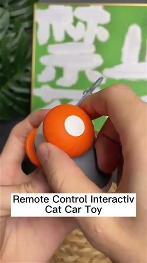 Remote Control Interactive Cat Car Toy #pettoys #petproducts #petfun #petmusthave #petowners
