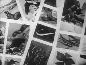 29 reactions · 124 shares | 1956 Walt Disney public service...