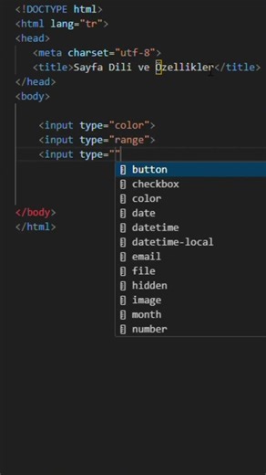 HTML'de Nasıl Sayfa Dili Türkce Yapılır Ve Birkaç Özellik
