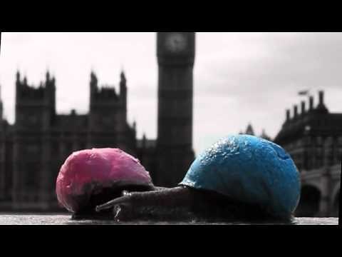 THE REAL TUESDAY WELD You're Going To Live