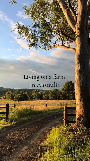 Exploring the Breathtaking Australian Countryside