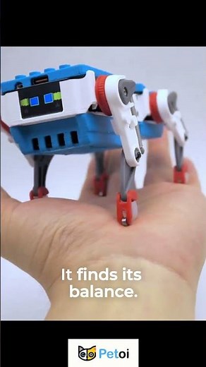 Everyone Should Have a Robot — Meet Quaddle by Petoi