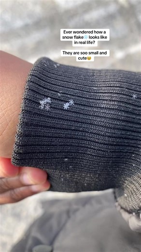 The Cutest Snowflakes You'll Ever See