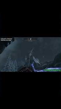 The Elder Scrolls V: Skyrim (SE)_Miscellaneous [19].