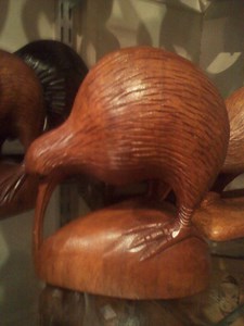 Auckland Zoo Shop in Auckland, New Zealand