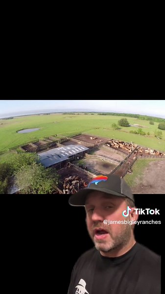 Largest cattle ranch in the world #cattle #cowboy #australia #ranching #yellowstonetv #kangaroo #ranching