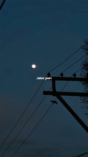 Mann Mera 💔🥺| Aesthetic Lyrics Status| #shorts #viral #trending #love #sad #song #lyrics #aesthetic